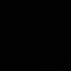 Meet your Posher, Brady